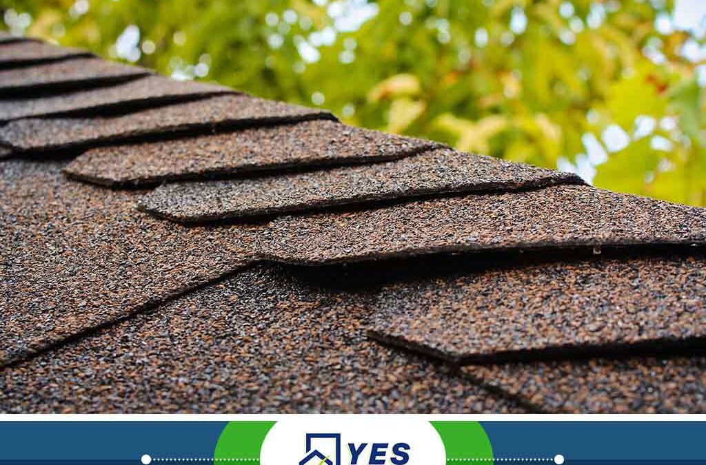 Everything You Need to Learn About Wind Damage